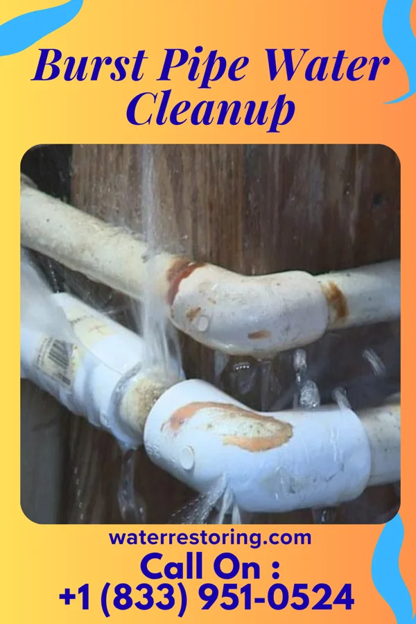 Burst Pipe Water Cleanup in Sappington, MO