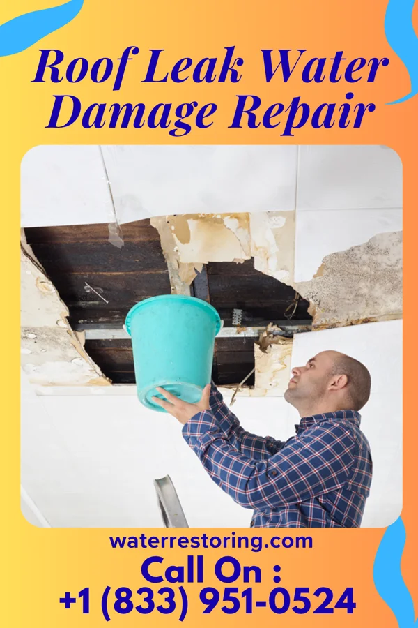 Roof Leak Water Damage Repair in Sappington, MO