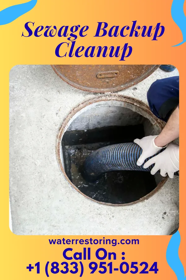 Sewage Backup Cleanup in Sappington, MO